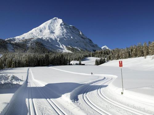 Relaxing Apartment In Seefeld In Tirol With Gardenter