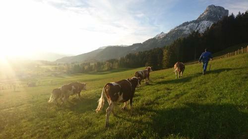 Apartamento Fumerhof