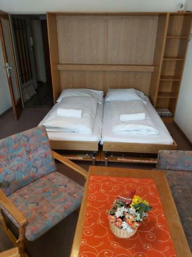 Apartamento Low Budget Studio Nostalgia, Ski And Mountain Walking Apt, By Apts Ged