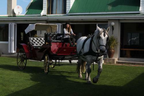 Agroturismo T'niqua Stable Inn