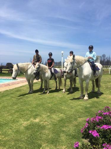 Agroturismo T'niqua Stable Inn