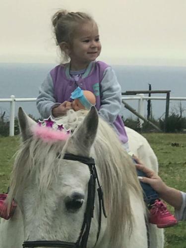 Agroturismo T'niqua Stable Inn