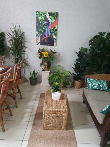 Jackies City Central Apartment