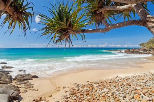 Apartamento Coolum Classic Beach Shack - Pet Friendly
