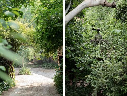Oscar's Garden
