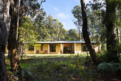 Gumtree Spring
