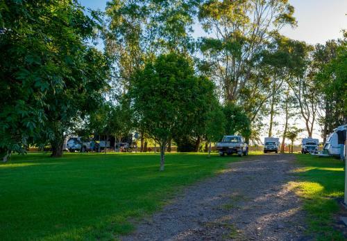 Dorrigo Mountain Holiday Park