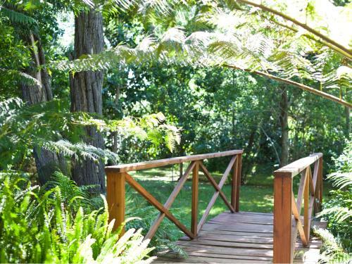 Bed & Breakfast Andelomi Forest Lodge