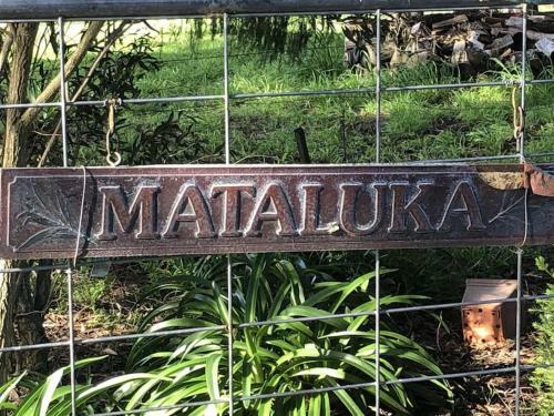 Mataluka At Fish Creek