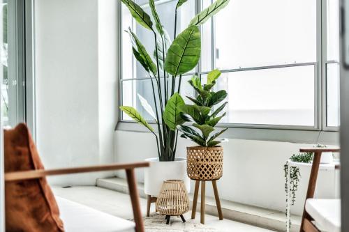 Serviced Apartments By Gclr At Q1