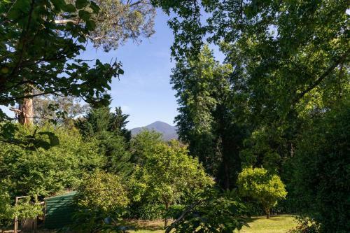 Mi Casa - Healesville