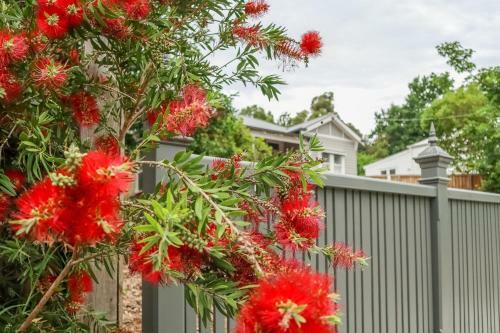 Vintage Charm On St Leonards