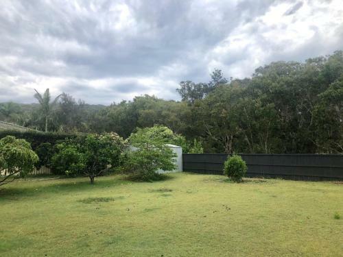 Marlin Magic At Hat Head