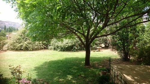 Apartamento Jan Frederick Self Catering