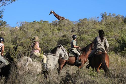 Lodge Botlierskop Private Game Reserve