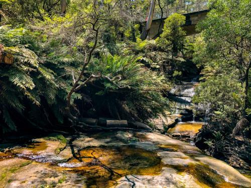 Mountain Home Leura - Perfect Weekend Escape