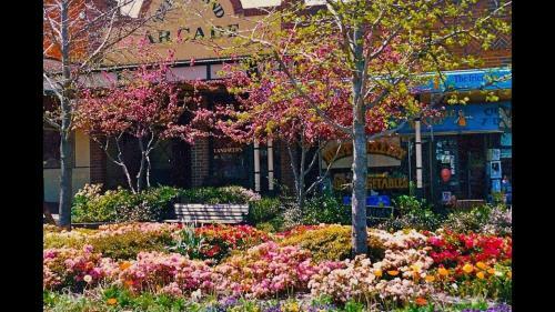 Mountain Home Leura - Perfect Weekend Escape