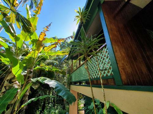 Lodge Cassowary House