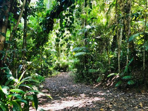 Lodge Cassowary House