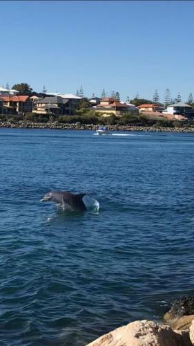 Estuary Cottage, Mandurah, Dawesville