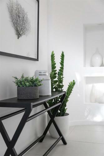 Hastings Park Apartment 7