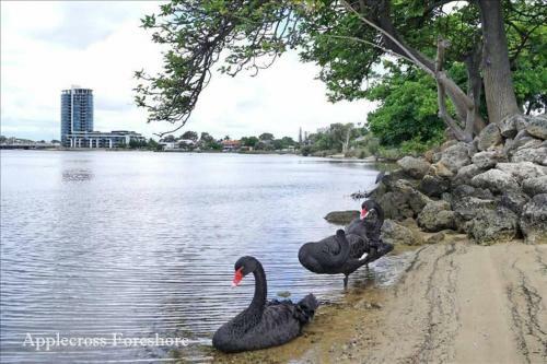 Apartamento Raffles Swan River Applecross Heathcote Park