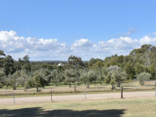 Jims Cabin At Araluen Estate