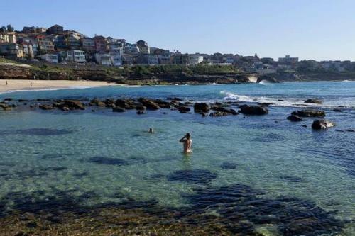 Apartamento Modern Bronte Apt. W/ Ocean Views, Just Minutes Walk To Beach!