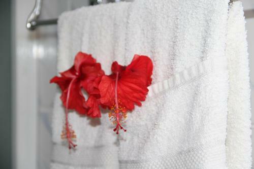 Bed & Breakfast Belle Des Iles
