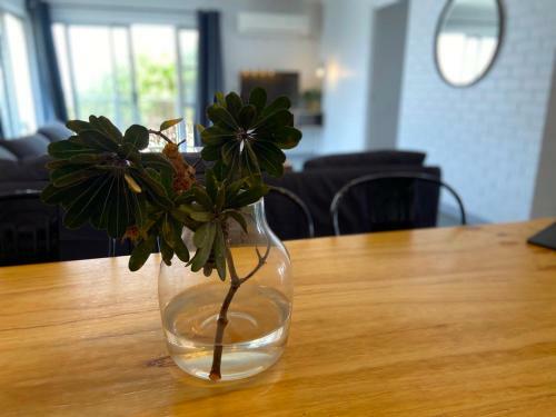 Hotel Yamba Views Accommodation