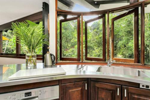 The Secret Treehouse