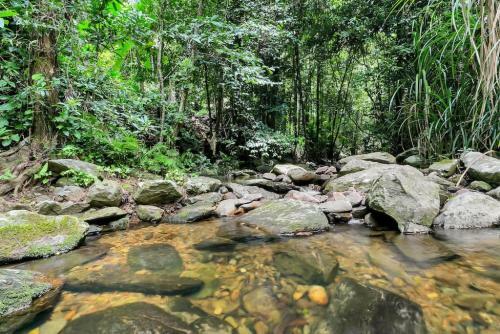 The Secret Treehouse