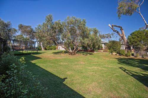 The Little Island Orchard