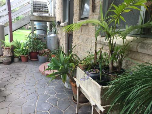 Bed & Breakfast Seaescape