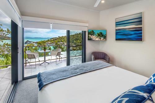 Kingfisher On Hamilton Island