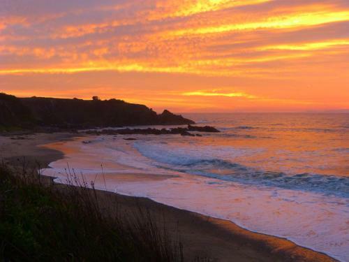 Mullaway Beach Holiday Cabins