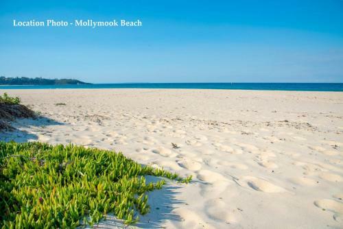 Carroll Ave 85 Mollymook