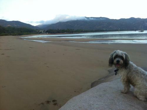 Stunning Magnetic Island Home,private, Large Pool,adults Only