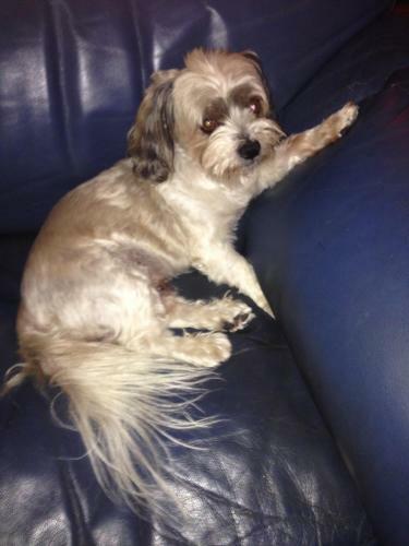 Stunning Magnetic Island Home,private, Large Pool,adults Only
