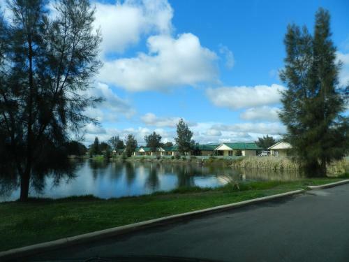 Golden Ponds