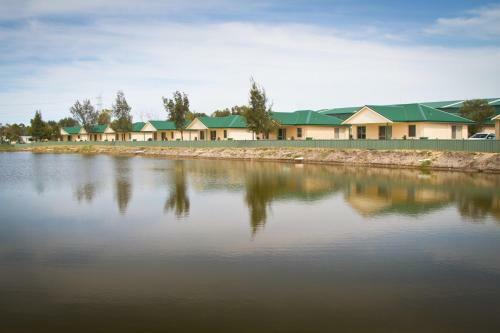 Golden Ponds