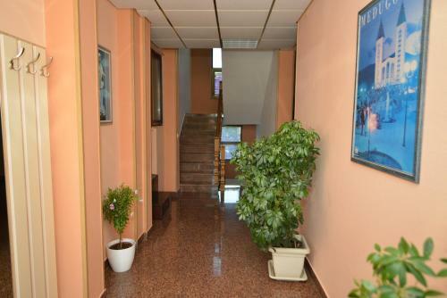 Hostal Pansion Park