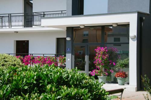 Hostal Pansion Park