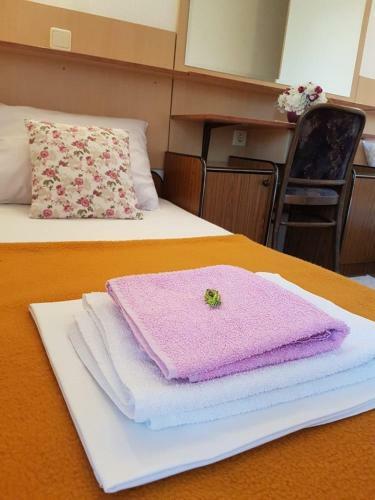Hostal Pansion Park