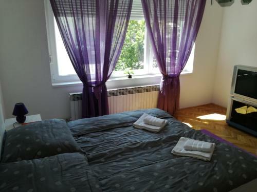 Apartman Ane