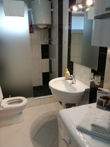 Apartman Ane