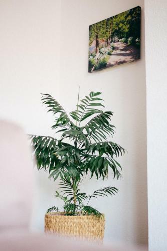 Lux Apartment Prijedor