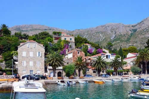 Luxury Villa Violeta With Pool And Jacuzzi Near Dubrovnik