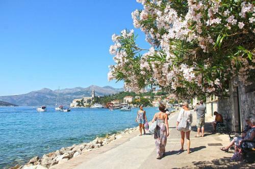 Luxury Villa Lule With Private Pool Near Dubrovnik