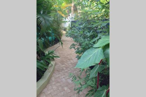 Villa Vida Mejor - West Pool